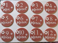 Circoli di Plexiglass Personalizzati per Foto Mensili del Tuo Bebè 🌟